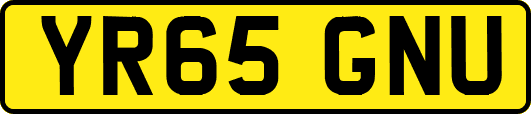 YR65GNU
