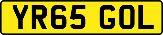 YR65GOL