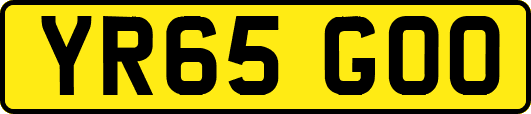 YR65GOO