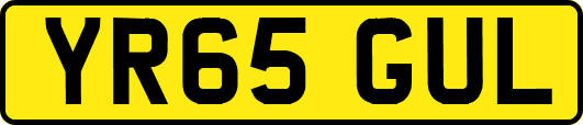 YR65GUL