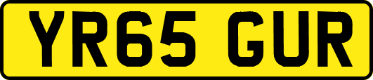 YR65GUR
