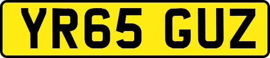 YR65GUZ