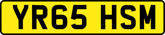YR65HSM