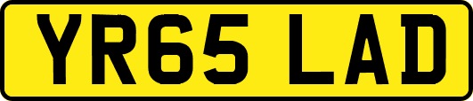 YR65LAD