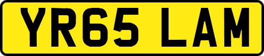 YR65LAM