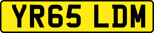 YR65LDM