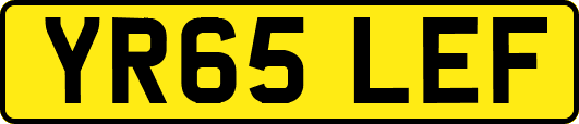 YR65LEF
