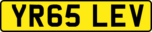 YR65LEV
