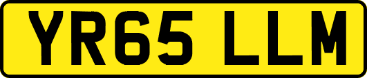 YR65LLM