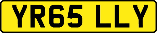 YR65LLY