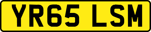 YR65LSM