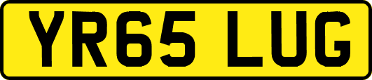 YR65LUG