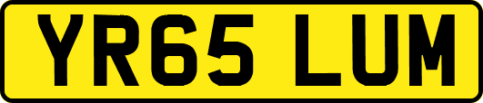 YR65LUM