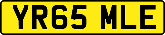 YR65MLE