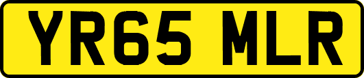 YR65MLR