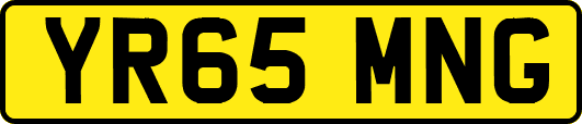 YR65MNG
