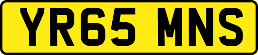 YR65MNS