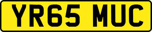 YR65MUC