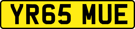 YR65MUE