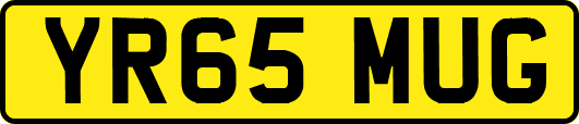 YR65MUG