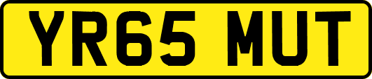 YR65MUT