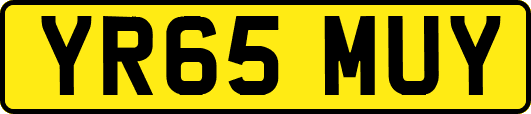 YR65MUY