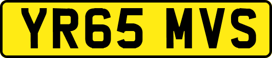 YR65MVS