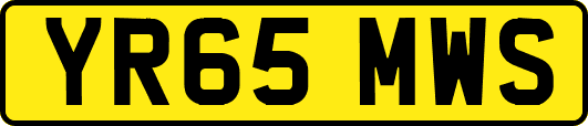 YR65MWS