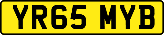 YR65MYB