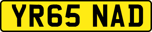 YR65NAD