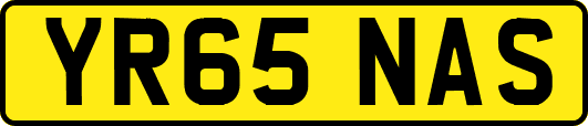 YR65NAS