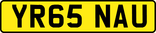YR65NAU