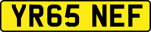 YR65NEF