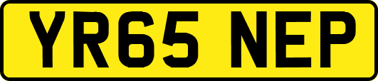YR65NEP