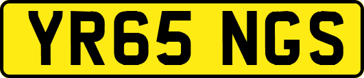 YR65NGS