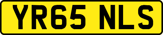YR65NLS