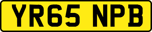 YR65NPB