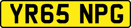 YR65NPG