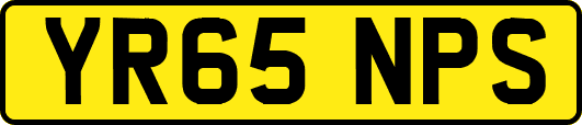 YR65NPS