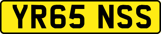 YR65NSS