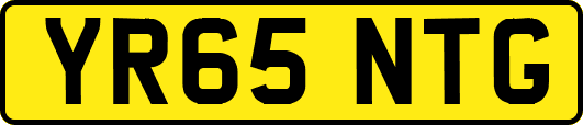 YR65NTG