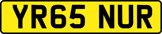 YR65NUR