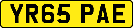 YR65PAE