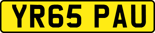 YR65PAU