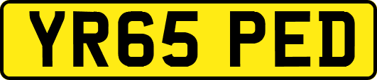 YR65PED