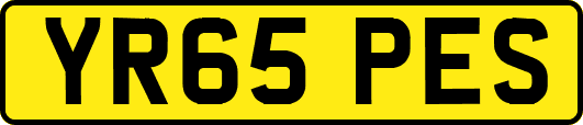 YR65PES