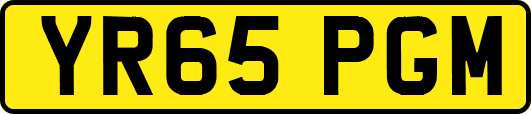 YR65PGM