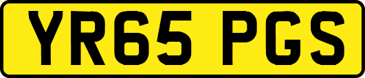 YR65PGS