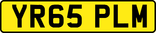 YR65PLM
