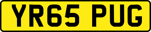 YR65PUG